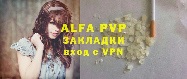 шишки Богородицк