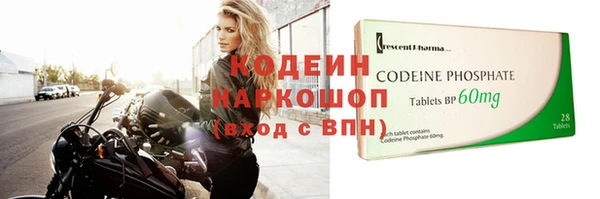 шишки Богородицк