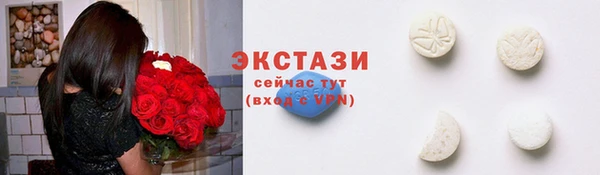 шишки Богородицк