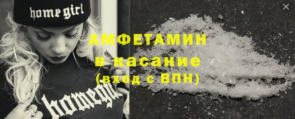 шишки Богородицк