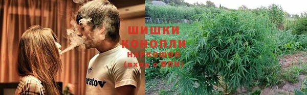 шишки Богородицк