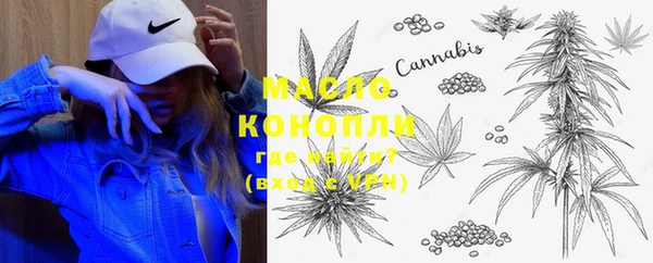 шишки Богородицк