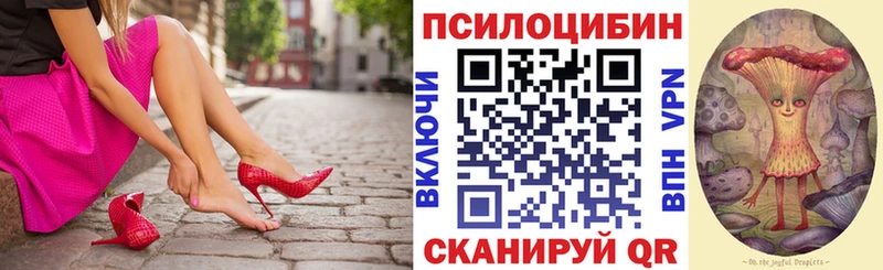 Псилоцибиновые грибы мицелий  купить наркотики цена  Горняк 
